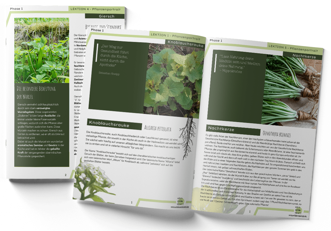 WW25_Mockup_PDF-1-min